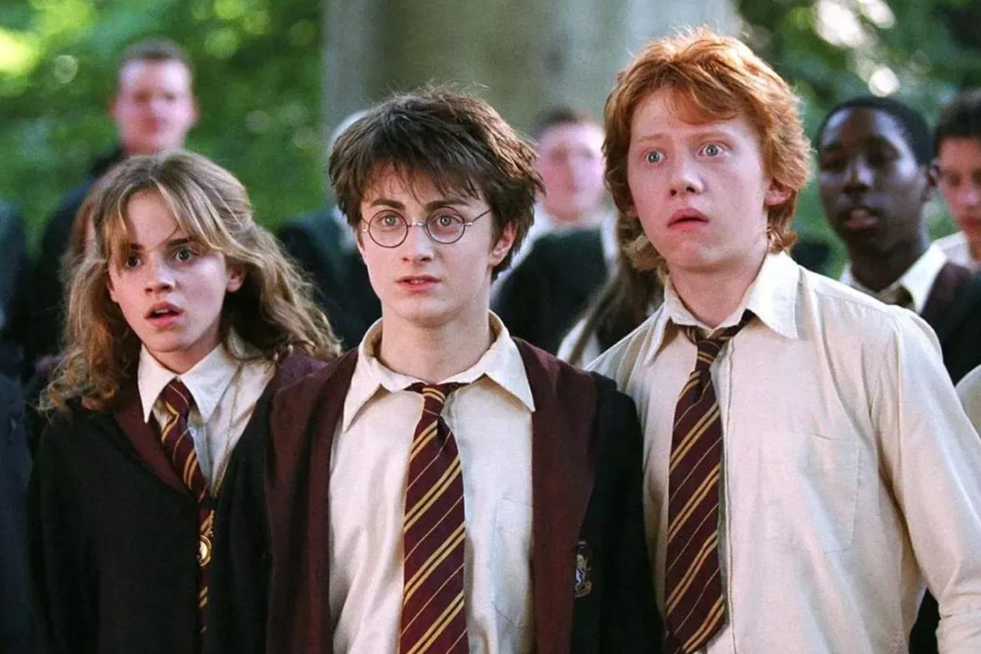 Hermione Harry Potter Ron Weasley Emma Watson Daniel Radcliffe Rupert Grint