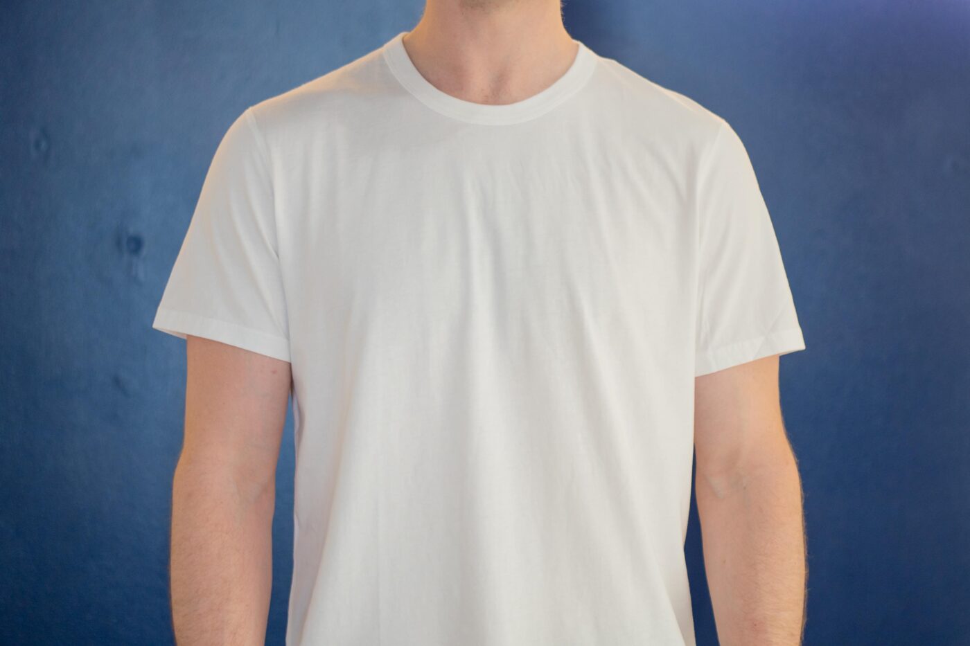 Reigning Champ white tee on model