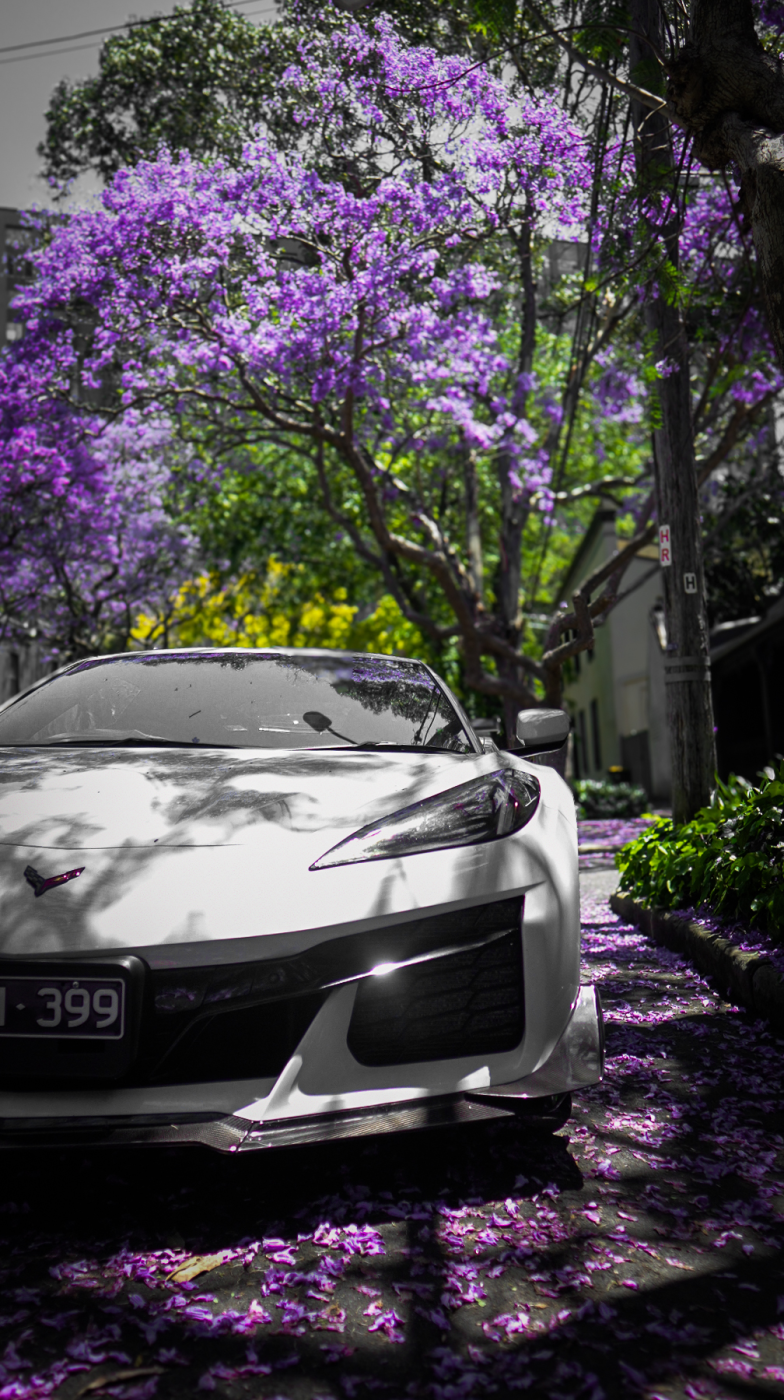 Z06